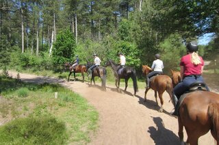 Paardrijvakantie Woudenberg - Rijden door het bos - Autitravel begeleide vakanties voor mensen met autisme