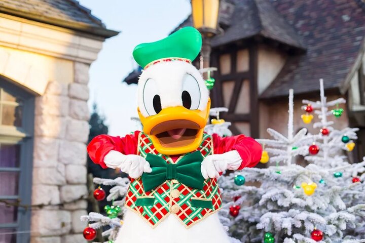 Disney - Donald Duck - Autitravel begeleide vakanties voor mensen met autisme
