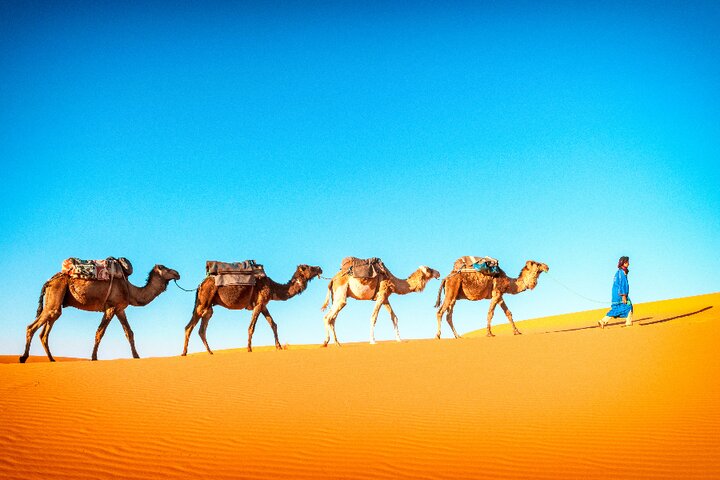 Marokko - Kamelen Sahara - Buitenhof Reizen begeleide vakanties voor mensen met een verstandelijke beperking