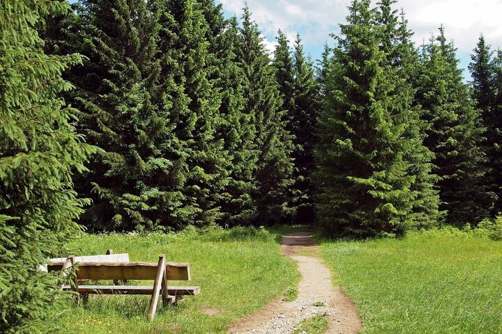 Harz -Wandelpad Harz - Autitravel begeleide vakanties voor mensen met autisme