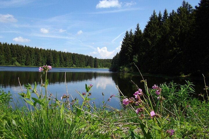 Harz -Landschap Harz - Autitravel begeleide vakanties voor mensen met autisme