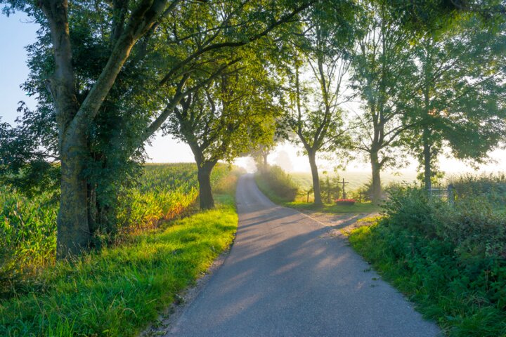 Berg en Dal - Landweg - Auititravel begeleide vakanties voor mensen met autisme