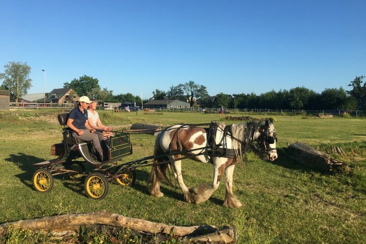 Paardrijvakantie Woudenberg - Paarden mennen - Autitravel begeleide vakanties voor mensen met autisme