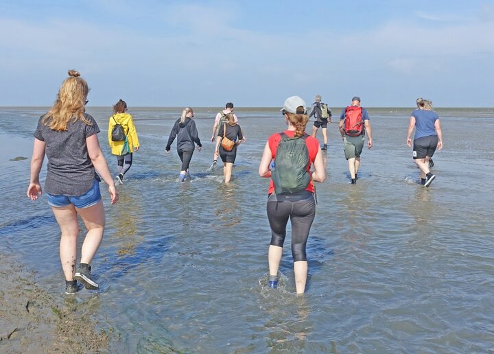 Buitenhof Reizen voor mensen met autisme - Wadlopen op Texel - wadlopen