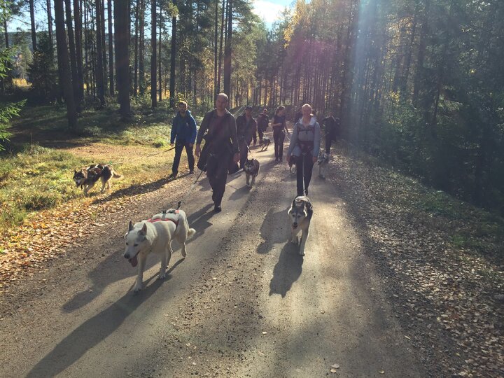 Buitenhof Reizen voor mensen met autisme - Zweden - husky wandelen