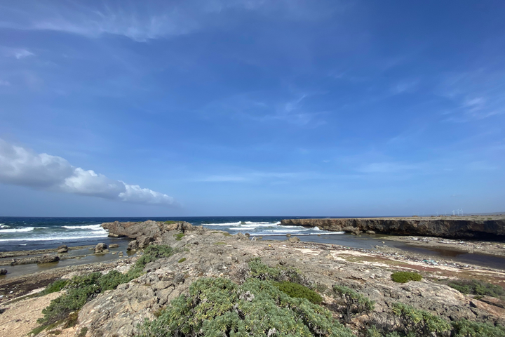 Auti Travel - CuraÃ§ao - begeleide vakanties voor mensen met autisme - ruige zee