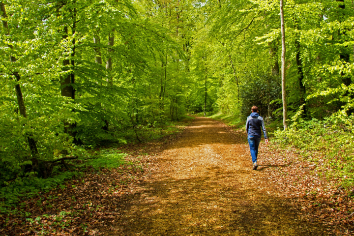 Berg en Dal - Wandelen in bos - Autitravel begeleide vakanties voor mensen met autisme