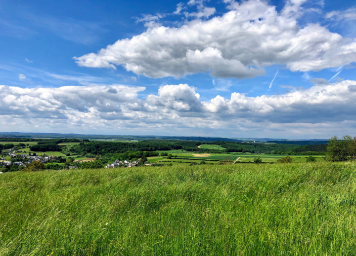 Buitenhof Reizen voor mensen met een verstandelijke beperking - Avontuurlijk - Wandelen in Luxemburg - Natuur Luxemburg